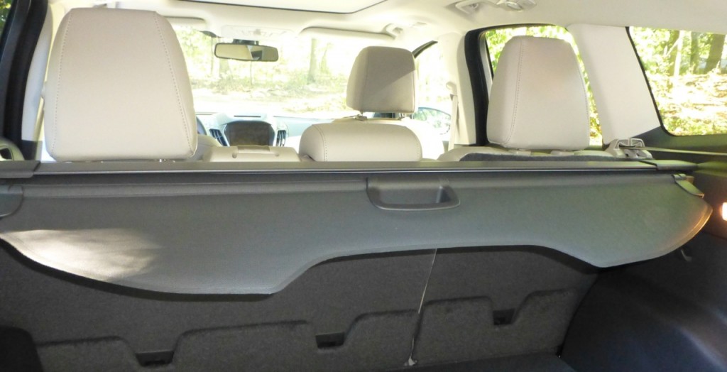 View from the rear