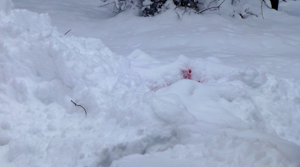 Snow Buried Red Bridge