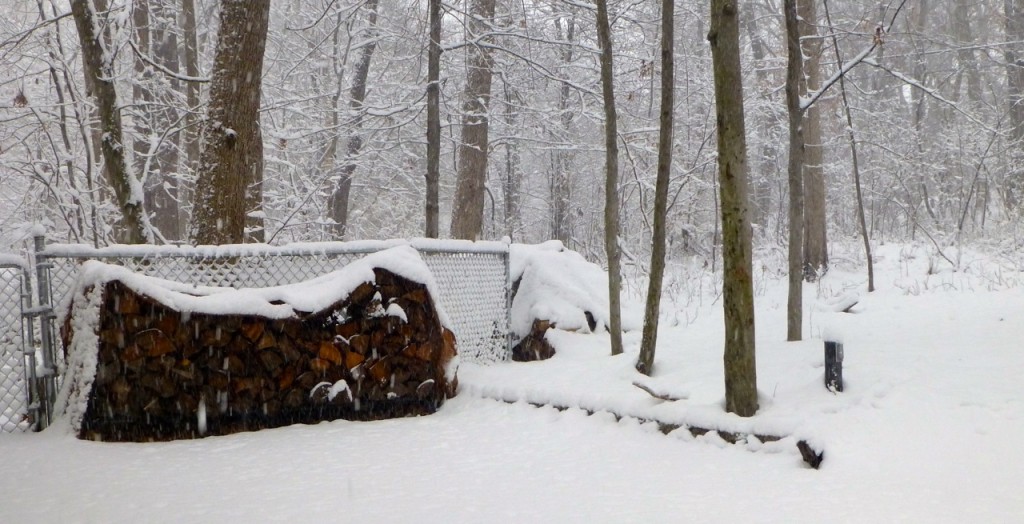 Snow Beauty