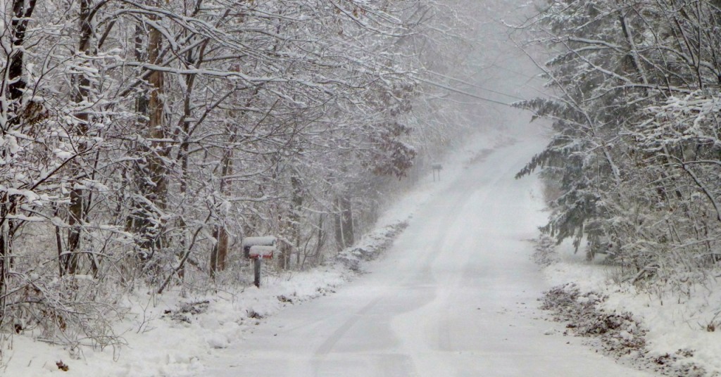 A Snowy Road