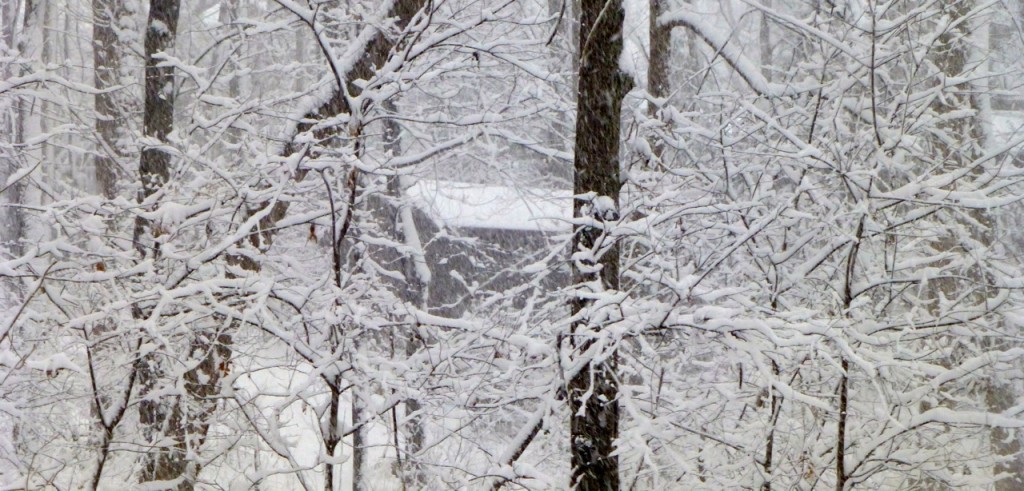 The Snow Hidden House