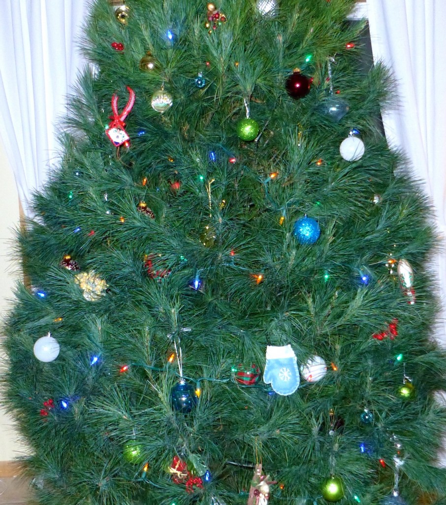 White Pine Christmas Tree
