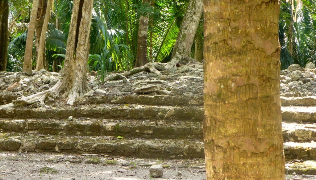 Mayan Ruins - Baby Sacrifices