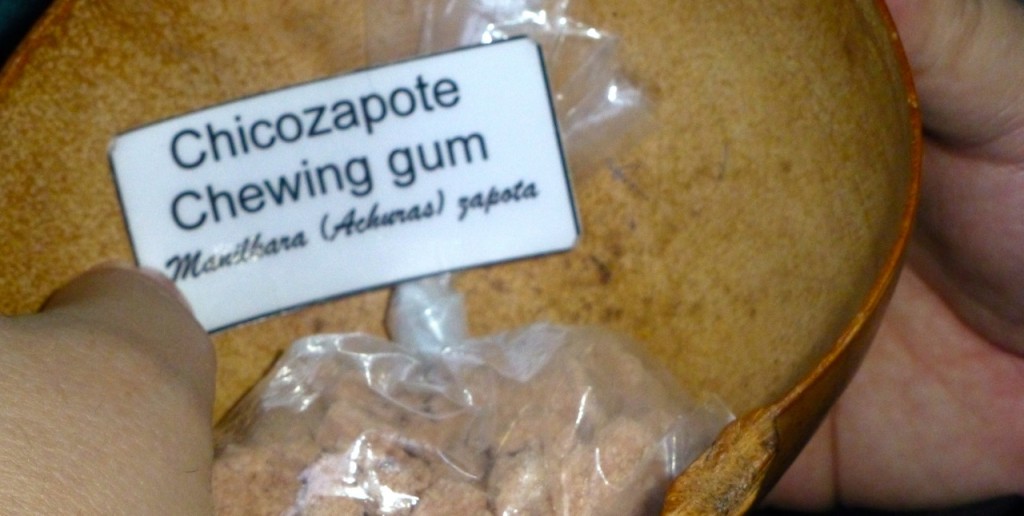 Chicozapote Chewing Gum