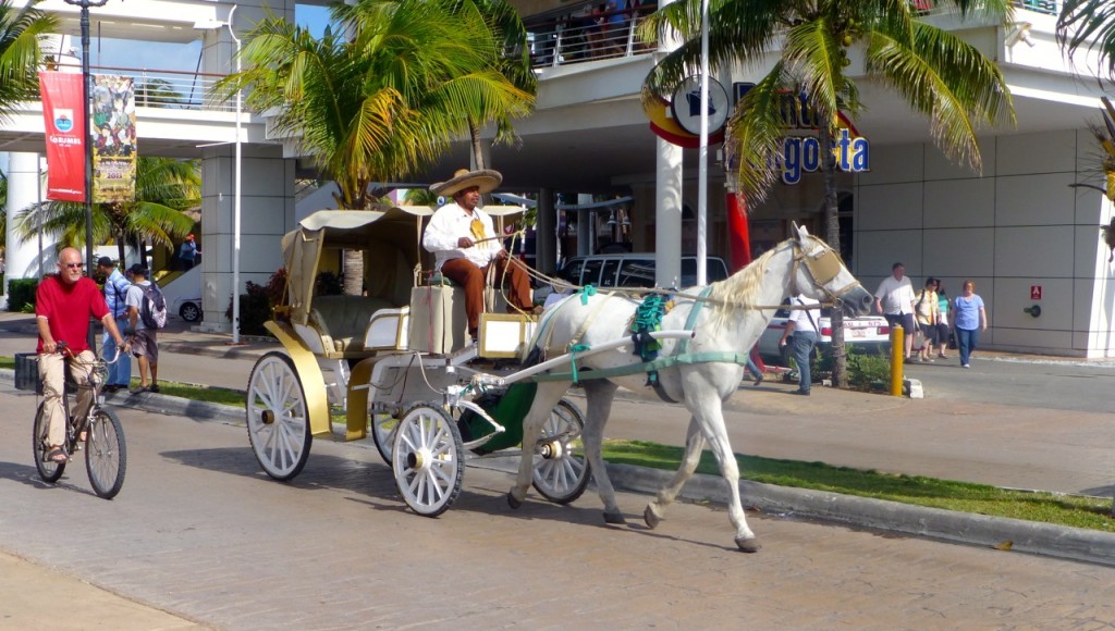 Horse and Carriage, Cozumel, Mexico