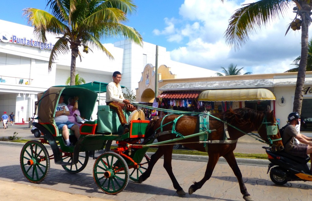 Horse and Carriage, Cozumel, Mexico
