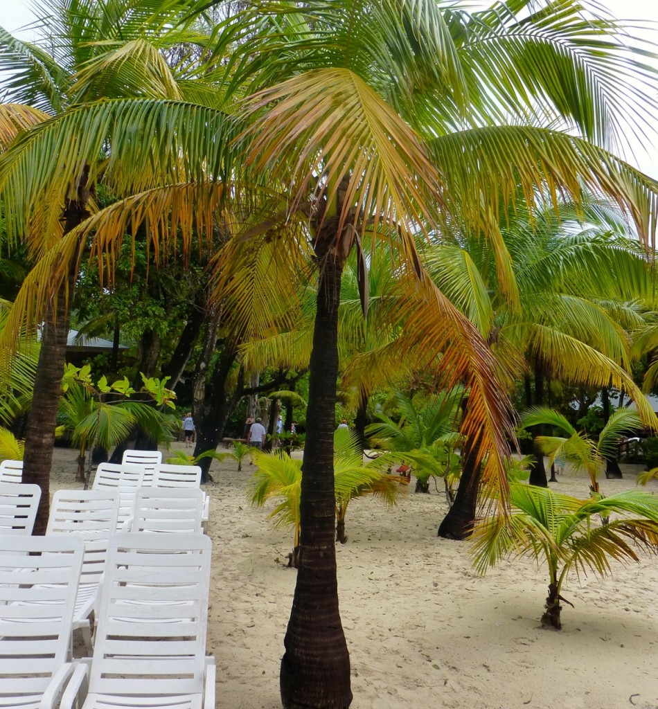 Tabyana Beach, Roatan, Honduras