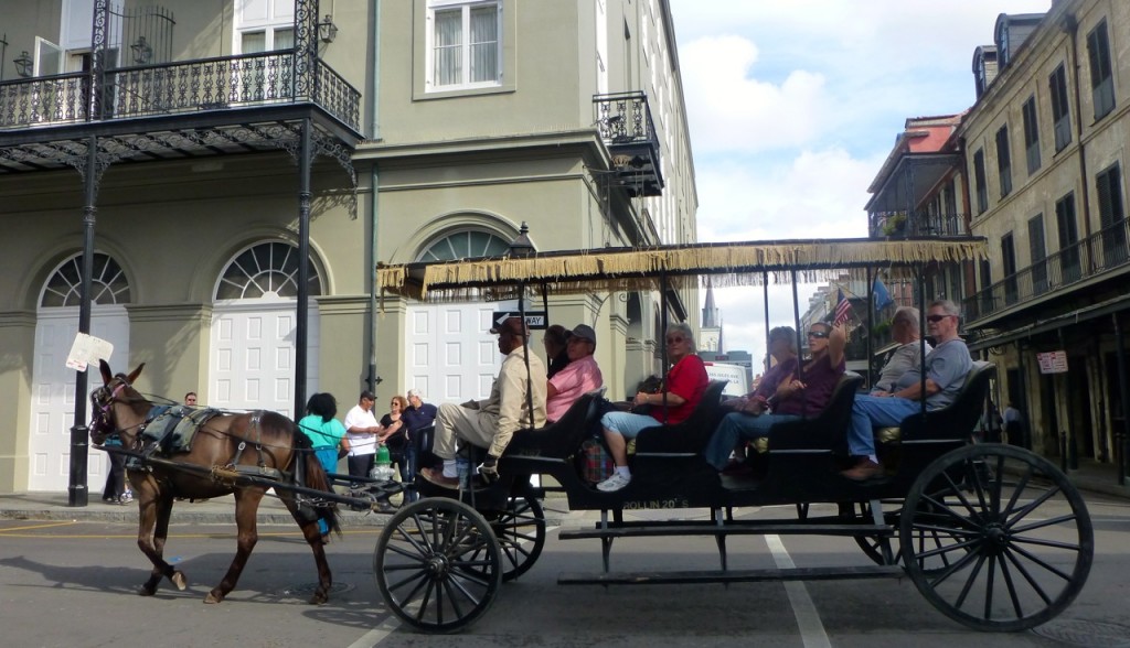 Horse Drawn Carriage, New Orleans, Louisiana