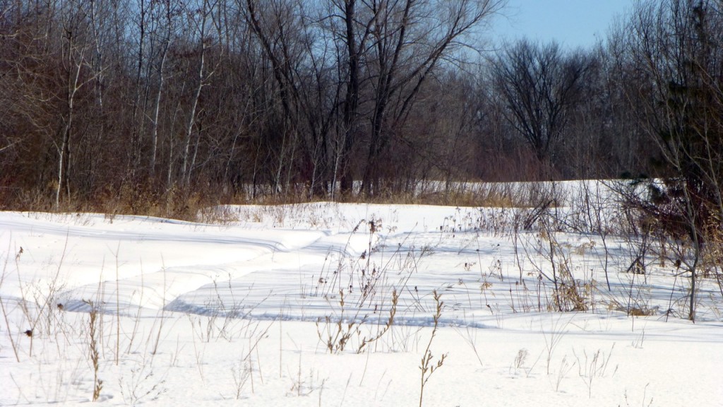 Northern Minnesota