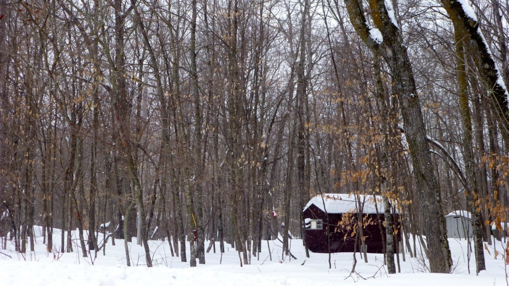 Nisswa, Minnesota area