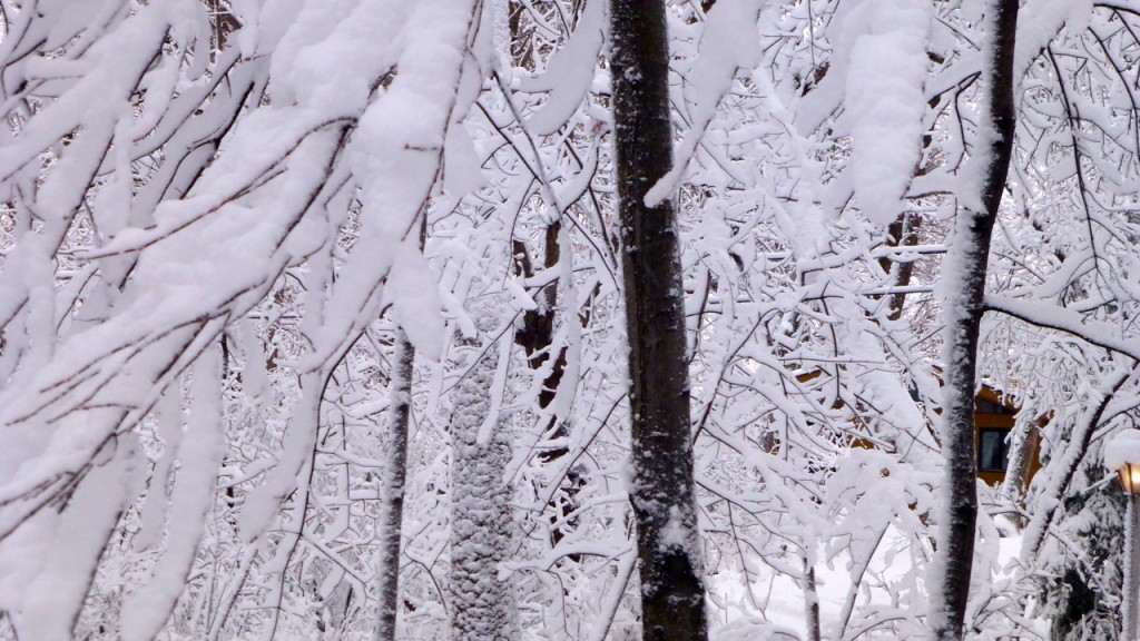 Minnesota April Snow