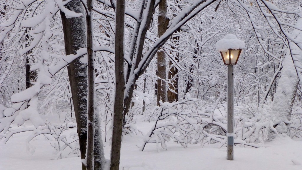 Minnesota April Snow