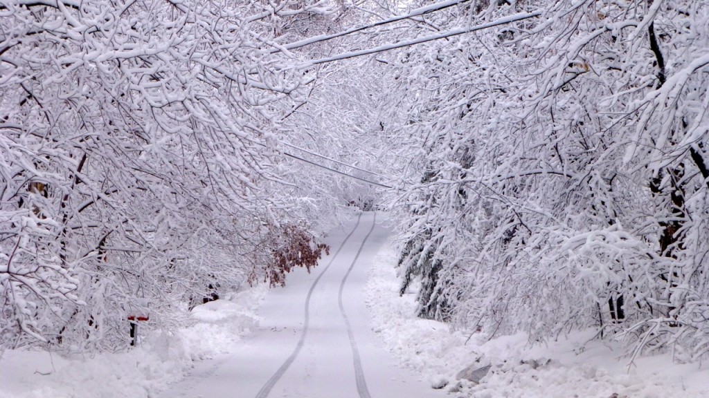 Minnesota April Snow