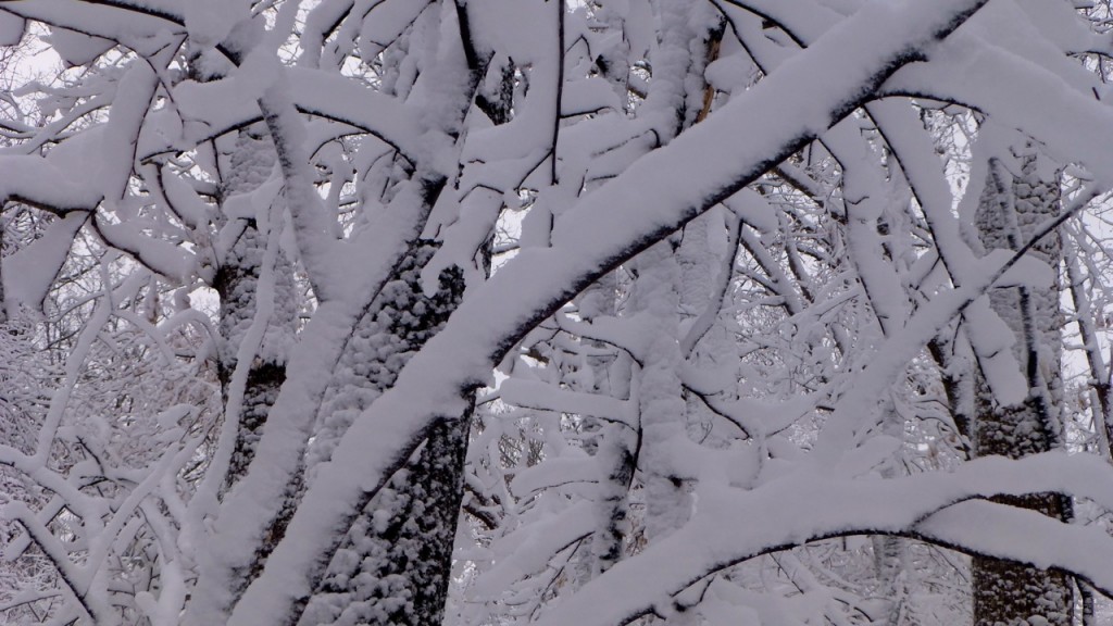 Minnesota April Snow