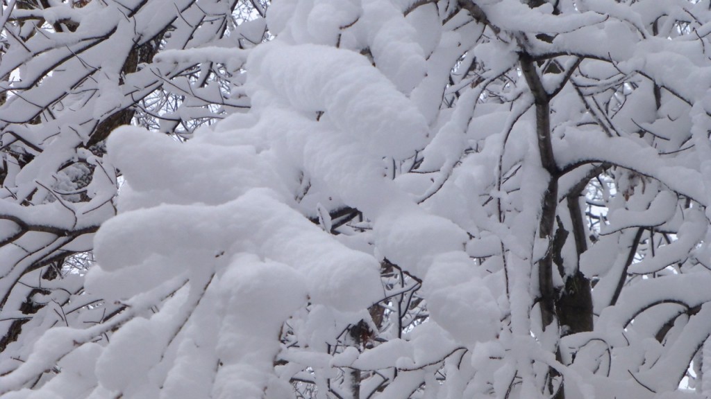 Minnesota April Snow