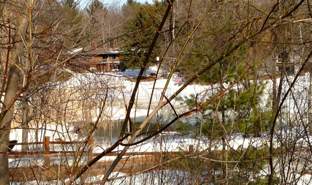 Minnesota Pond