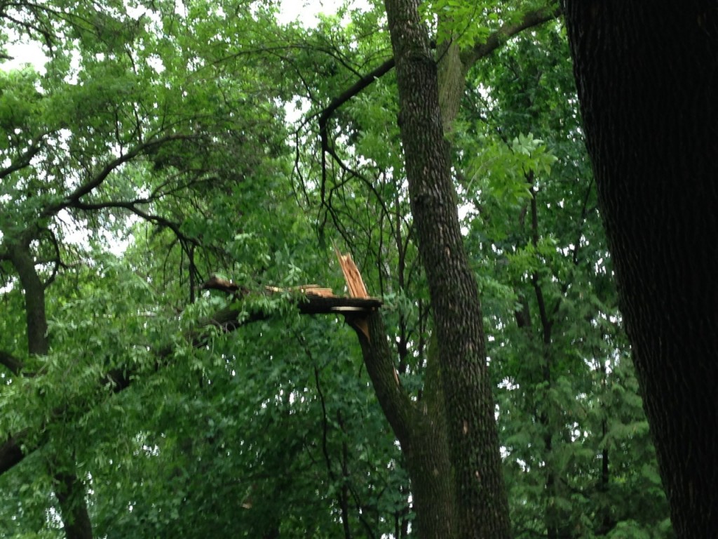 Minnesota Storm Damage