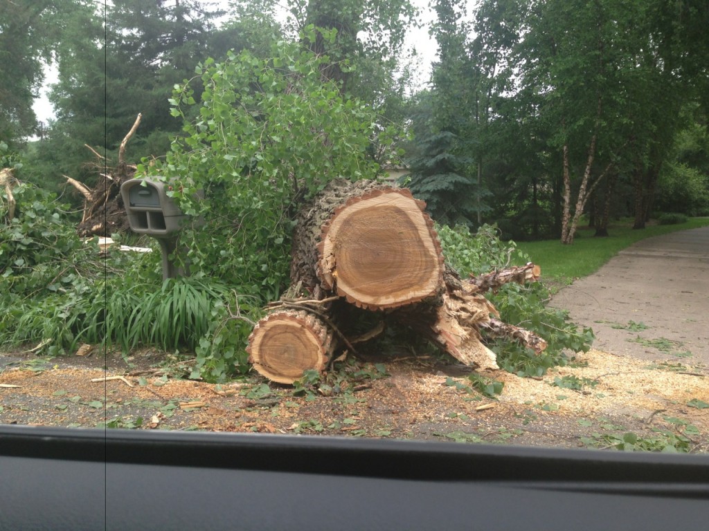 Minnesota Storm Damage