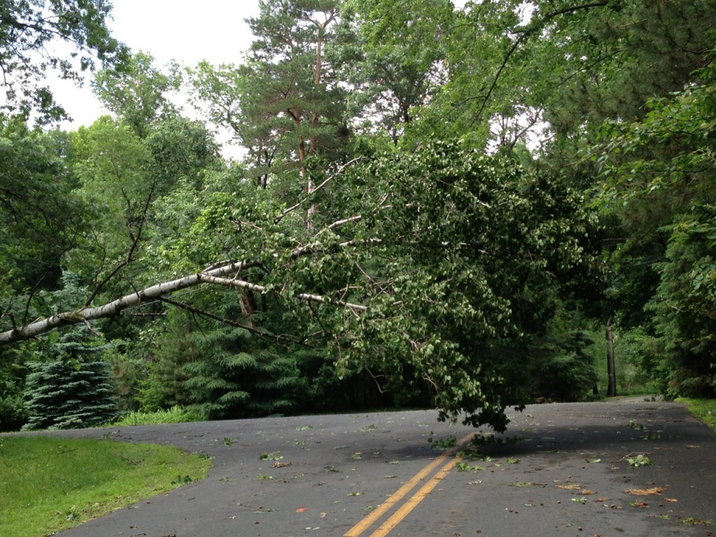 Minnesota Storm Damage