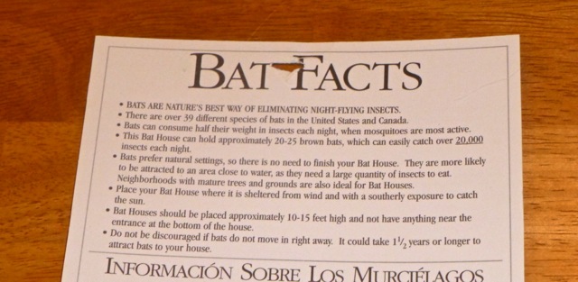 Bat Facts Sheet