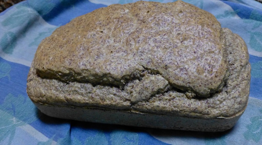 Paleo Bread