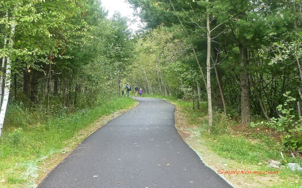 Gooseberry Falls Trail