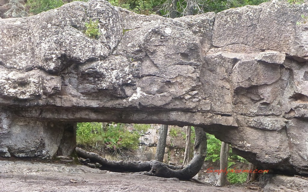 Gooseberry Falls State Park