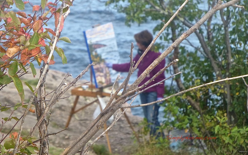 Artist at Palisade Head