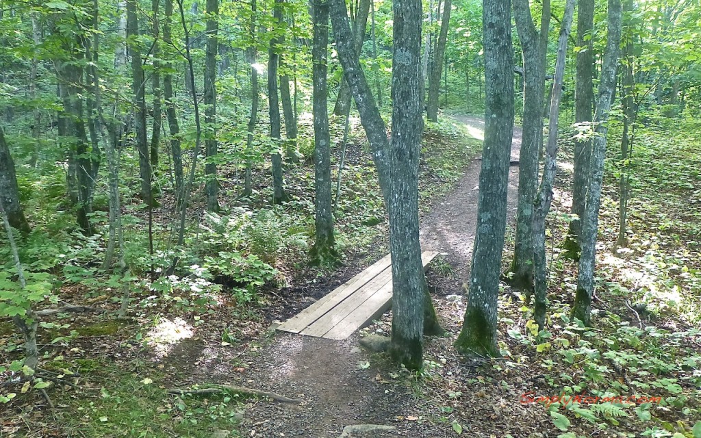 Oberg Loop Trail