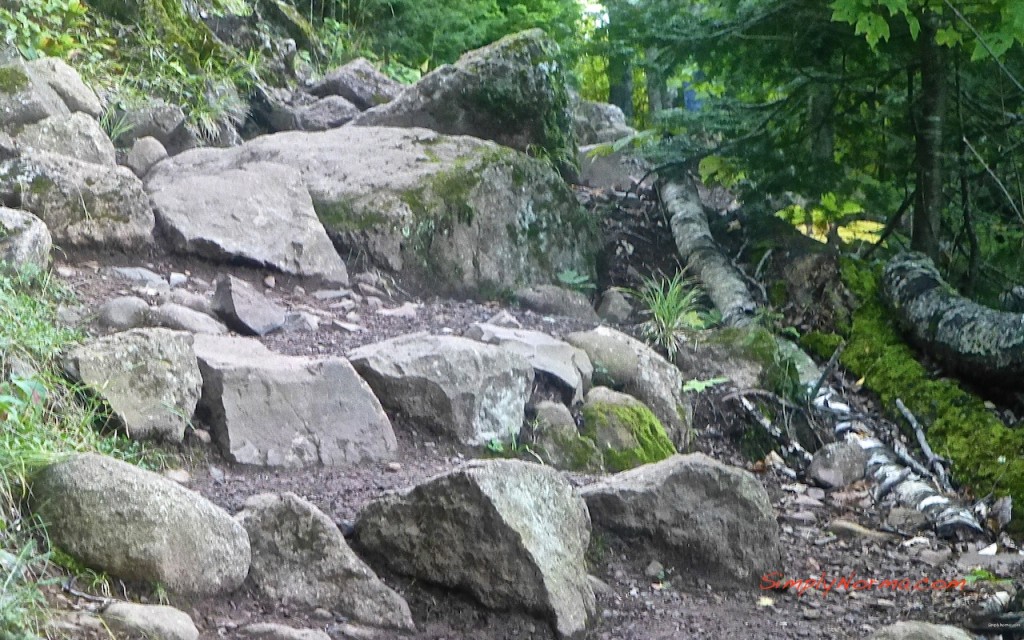 Oberg Loop Trail