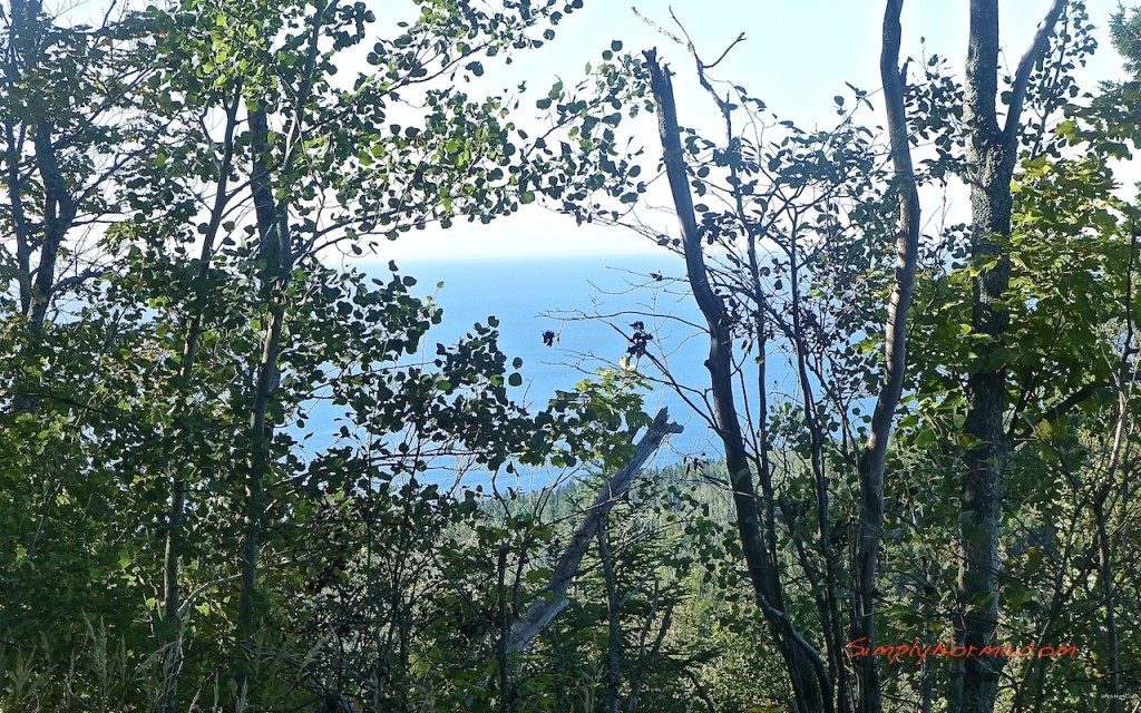 View on the Oberg Loop Trail