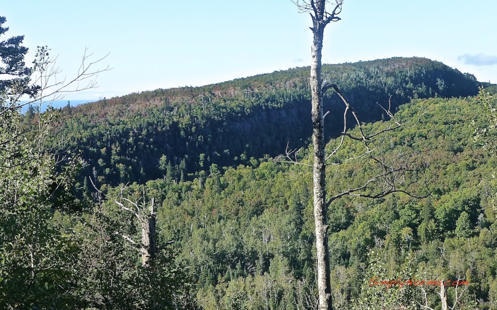 View on the Oberg Loop Trail