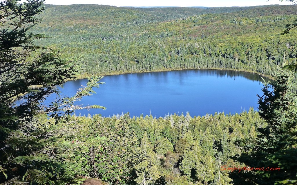 Oberg Loop Trail