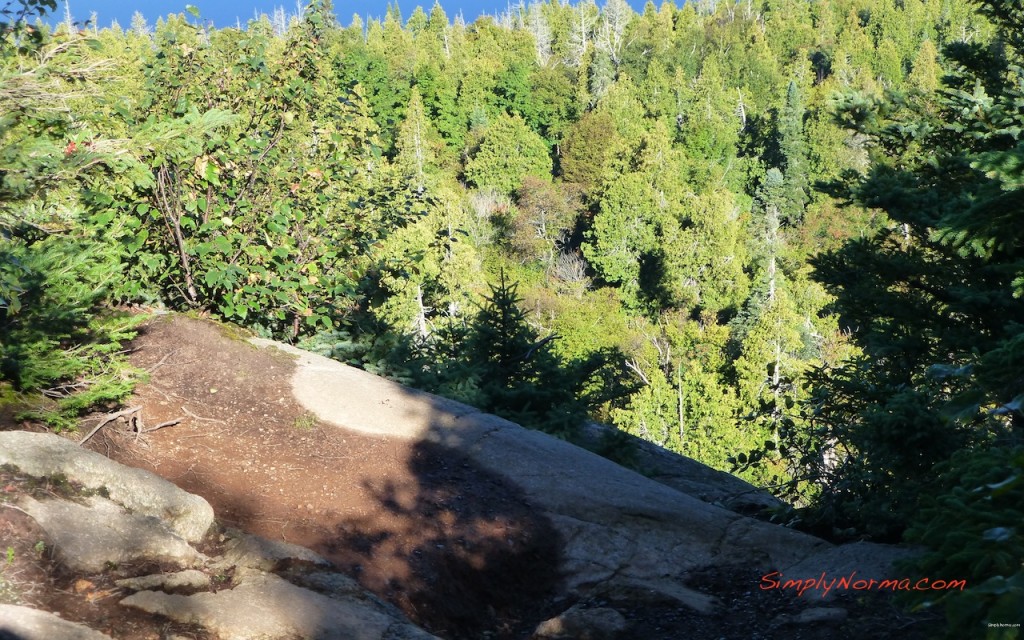 View on the Oberg Loop Trail