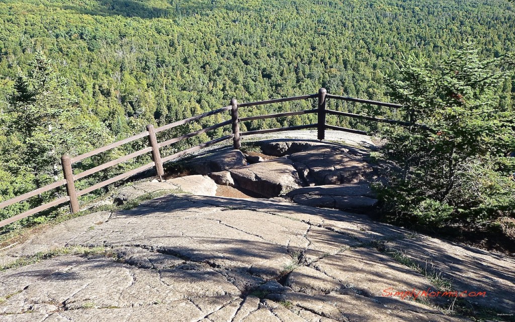 View on the Oberg Loop Trail