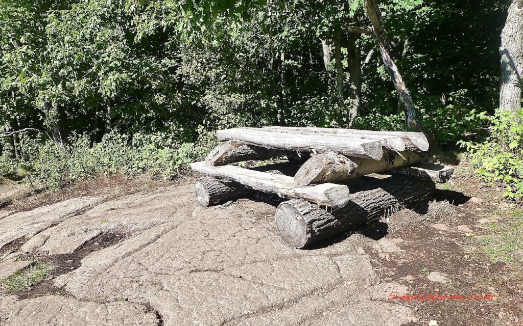 Picnic Table, Oberg Loop Trail