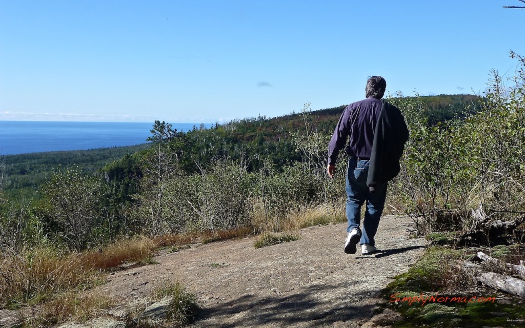 Oberg Loop Trail