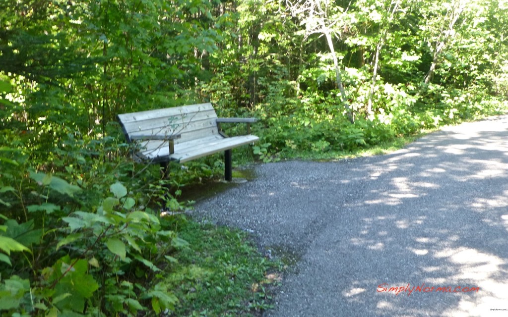 Trail to High Falls, Pigeon River