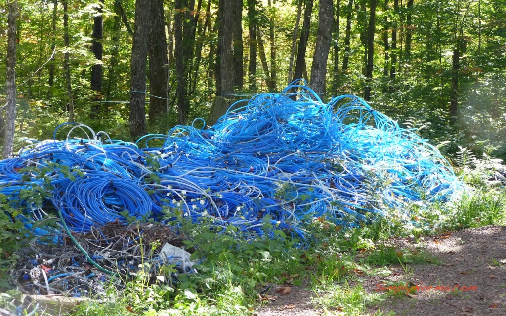 Plastic Tubing for Sap Collection