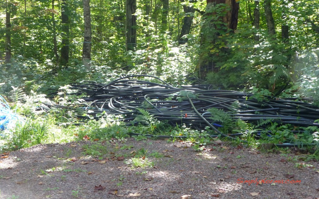 Plastic Tubing for Sap Collection