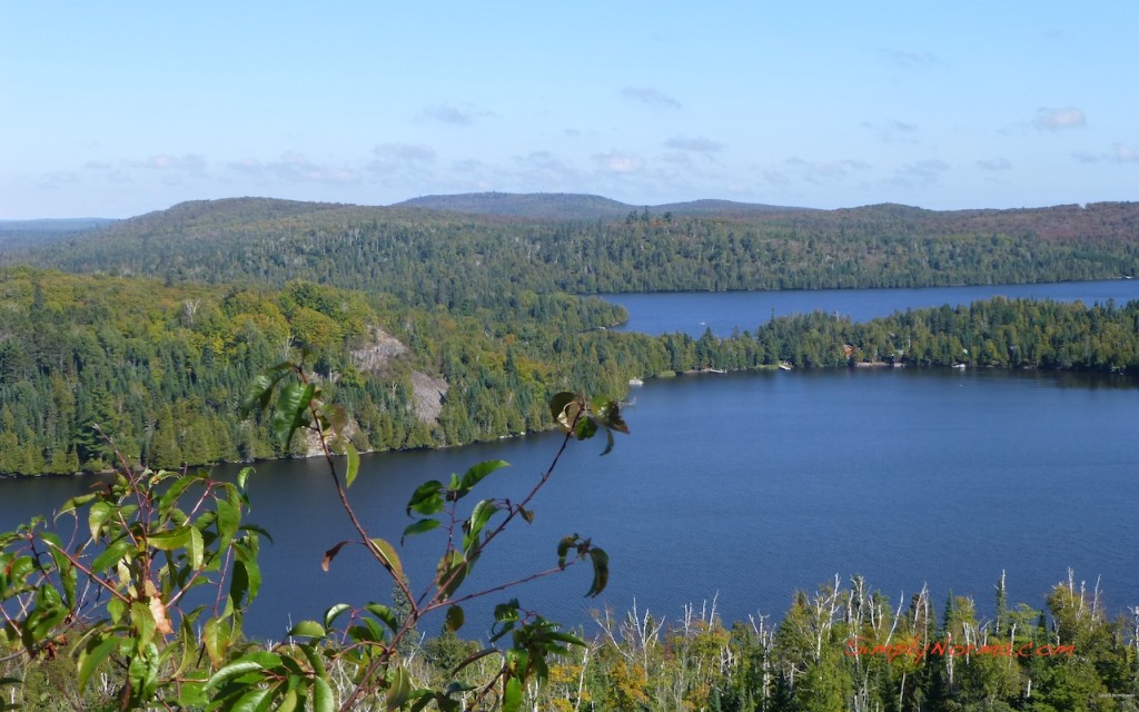 Caribou Lake View/Area