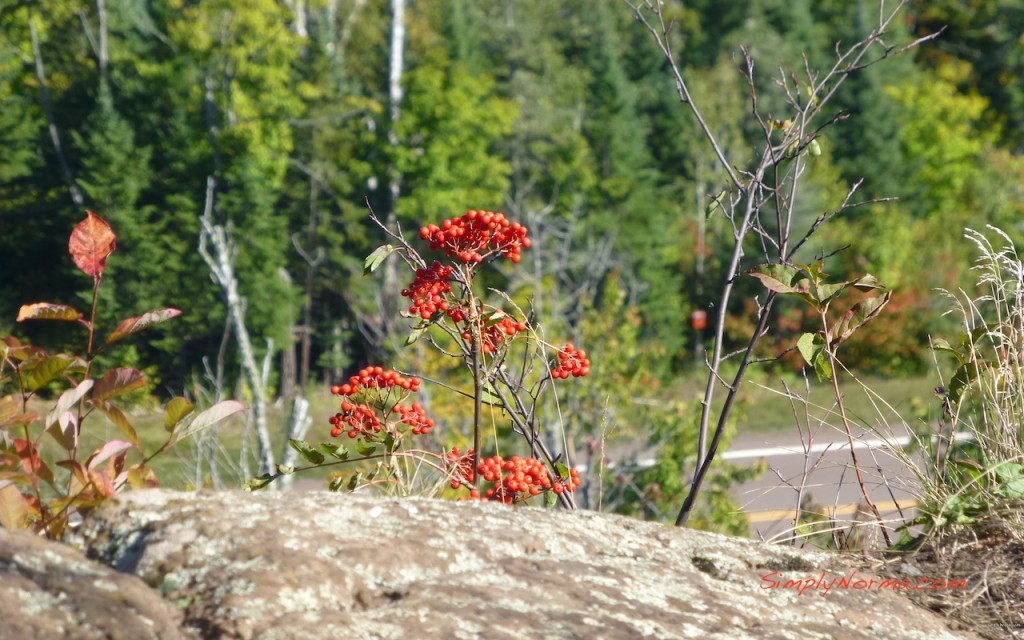 Caribou Lake View/Area