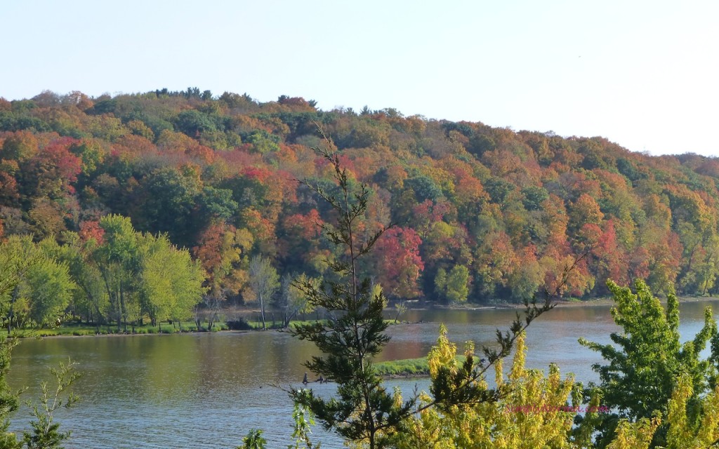 2012 Autumn Colors, St Croix River