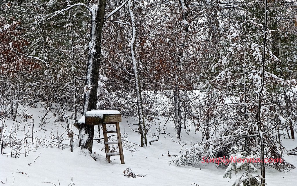 Winter in Minnesota