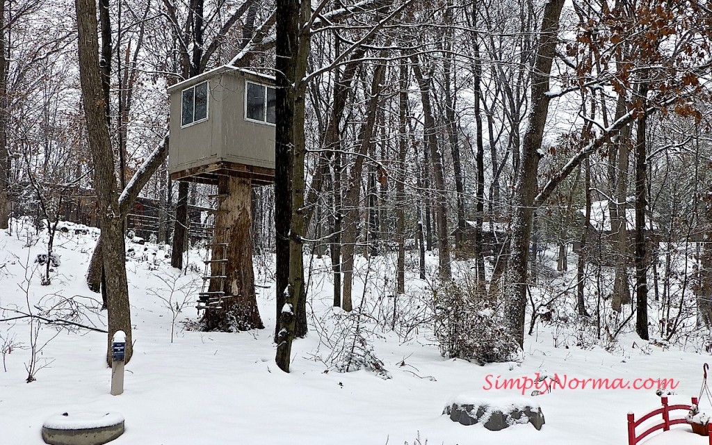 Winter in Minnesota