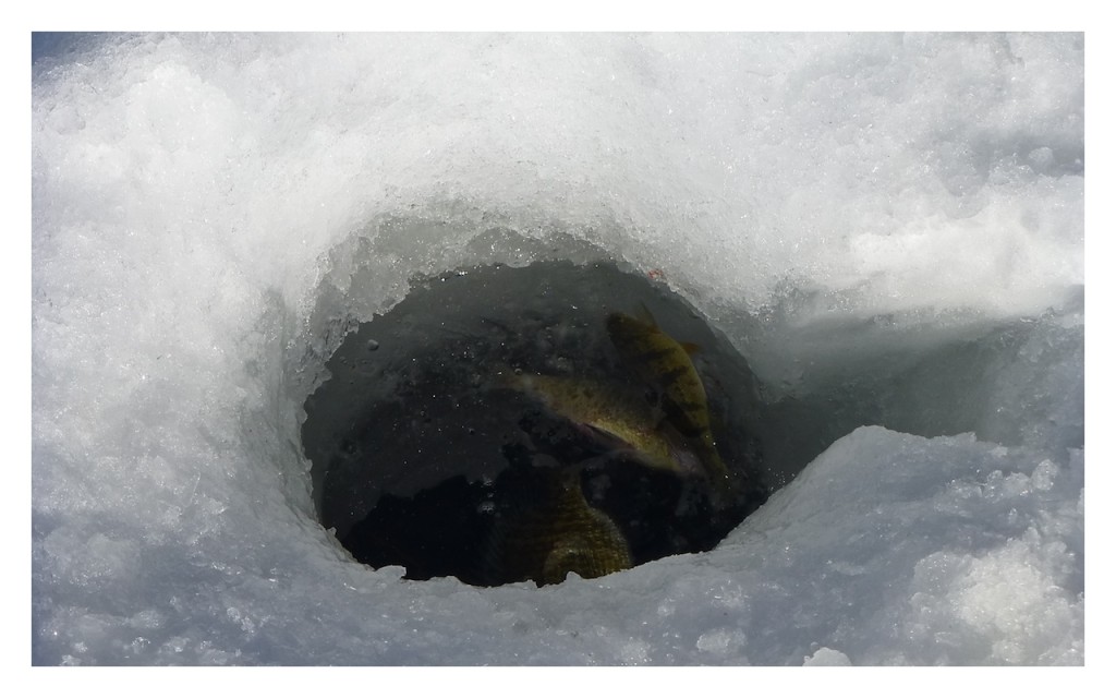 Ice Fishing Hole 