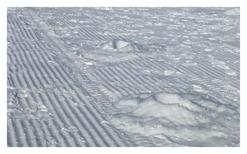 Ice Fishing Holes