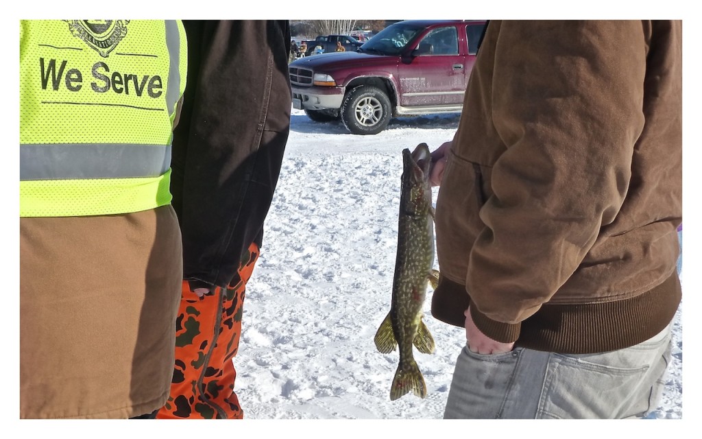 Northern Pike Fish