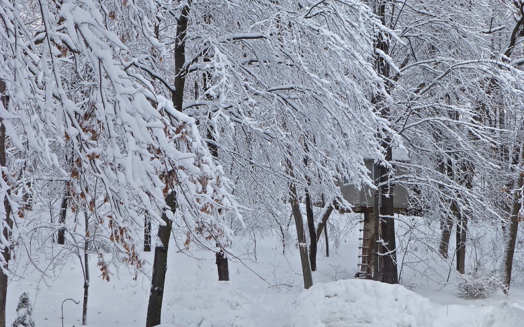 Minnesota Blizzard 2014