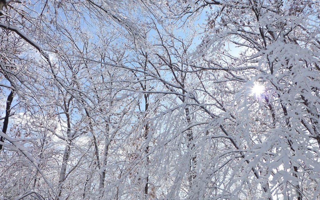 Minnesota Blizzard 2014